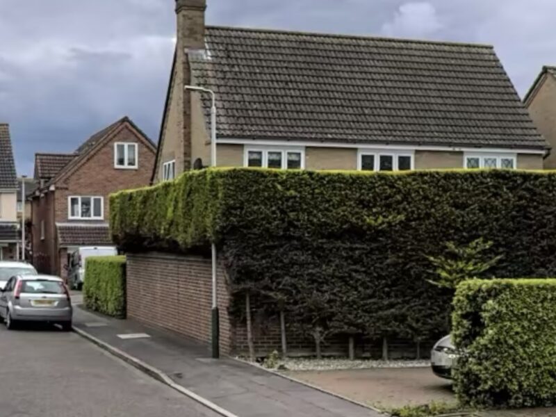 Leyton Fencing Decking & Landscaping