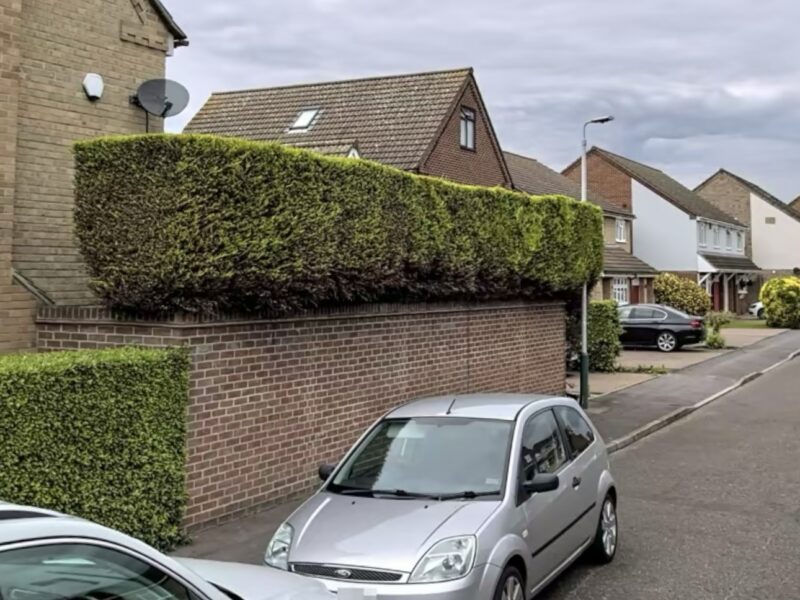 Leyton Fencing Decking & Landscaping