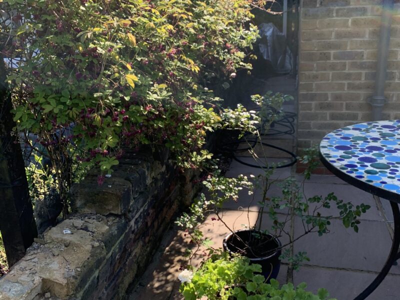 Leyton Fencing Decking & Landscaping